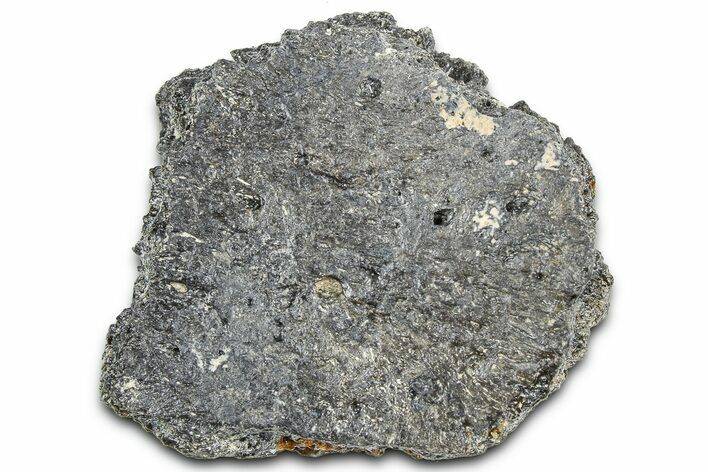 Fossil Glyptodont (Glyptotherium) Bony Armor Osteoderm - Florida #362346